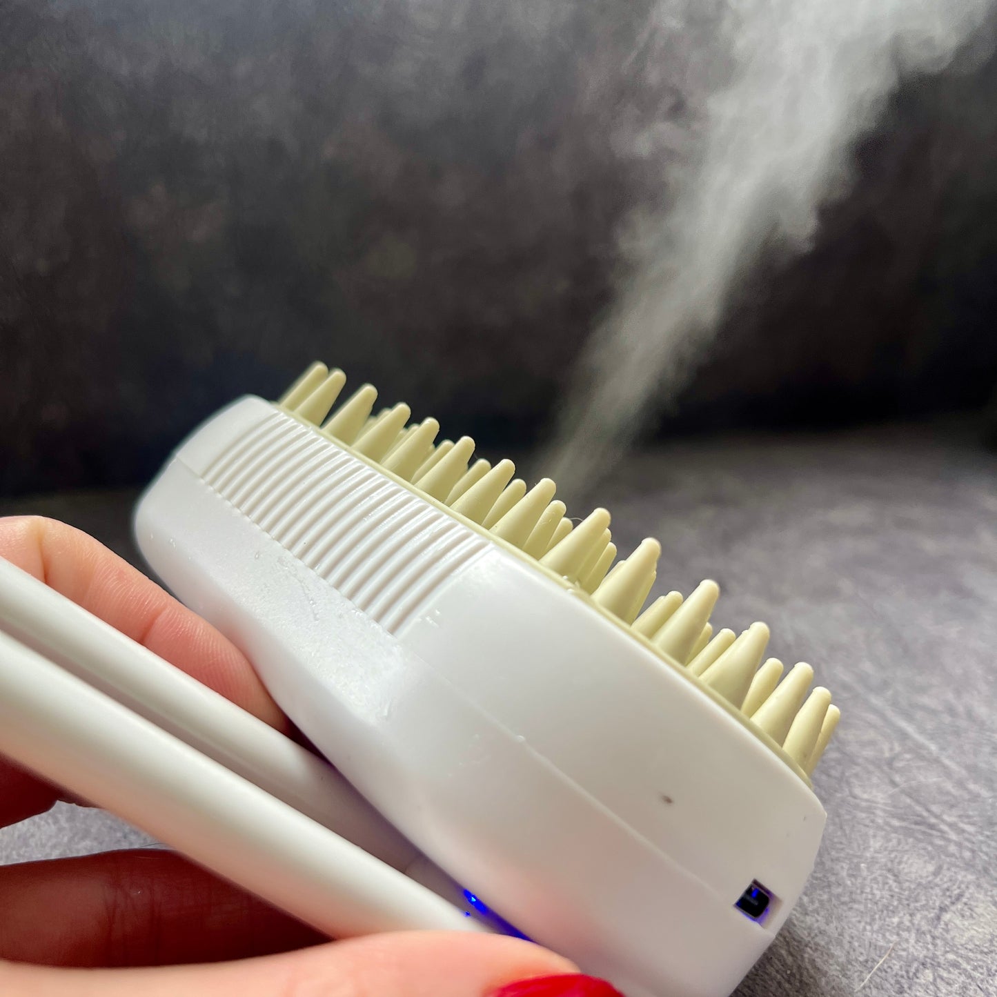 Cepillo a vapor para mascotas!đ»đ¶