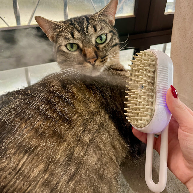 Cepillo a vapor para mascotas!😻🐶