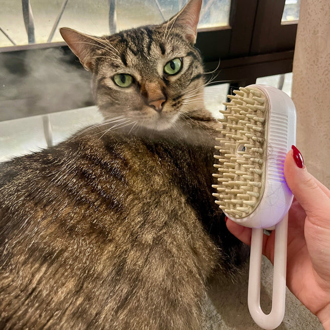 Cepillo a vapor para mascotas!😻🐶 - Elegance Colombia